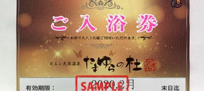 たまゆらの社 ご入浴券